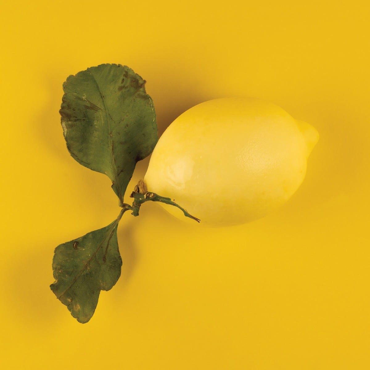 Moule en Silicone - Limone 30