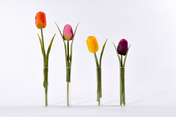 Eprouvette en verre 2.4x10cm (48pcs)