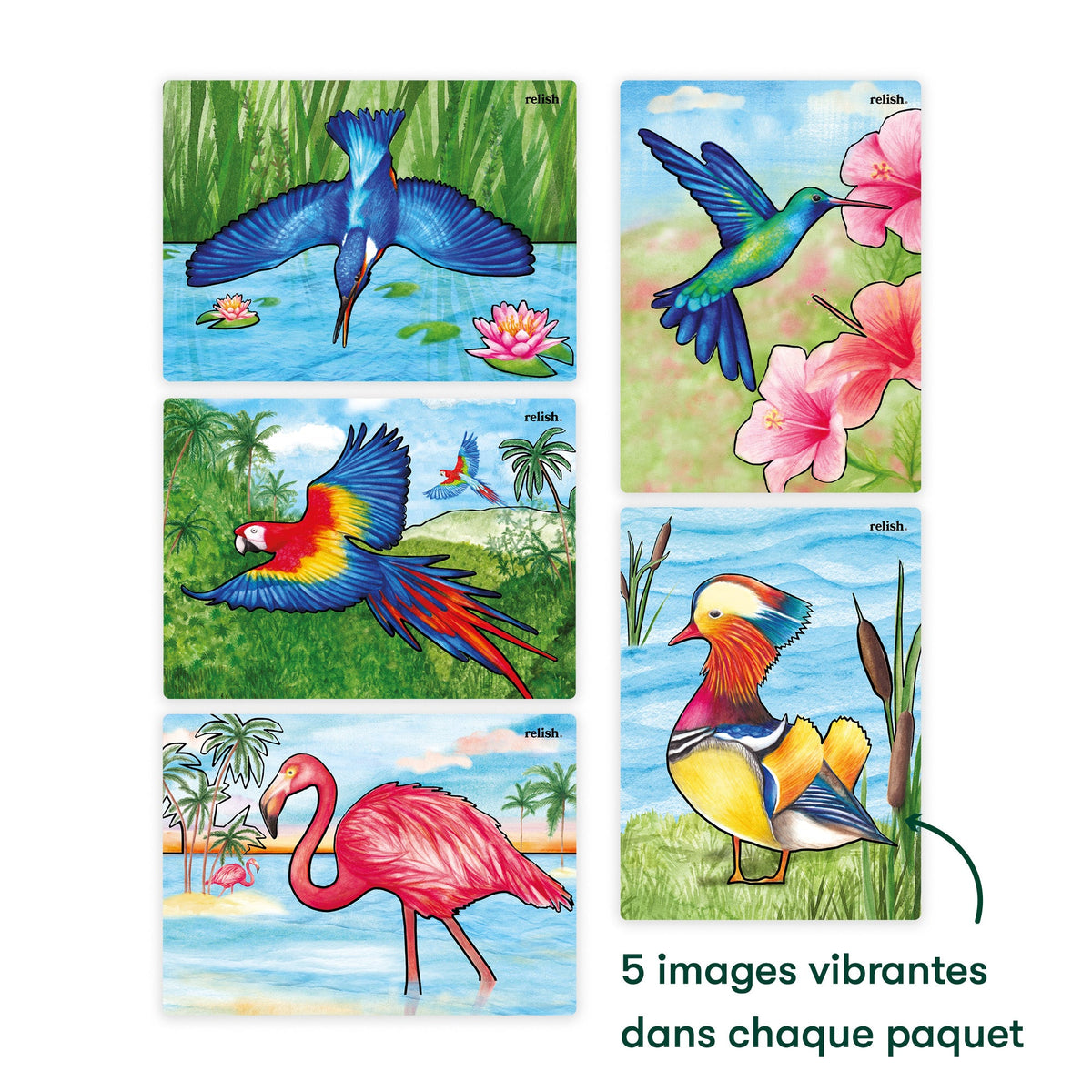 Peinture à l'eau - Magnifiques oiseaux