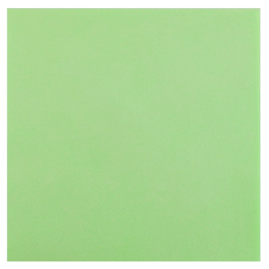 Serviettes Menthe Airlaid 40x40cm (25pcs)