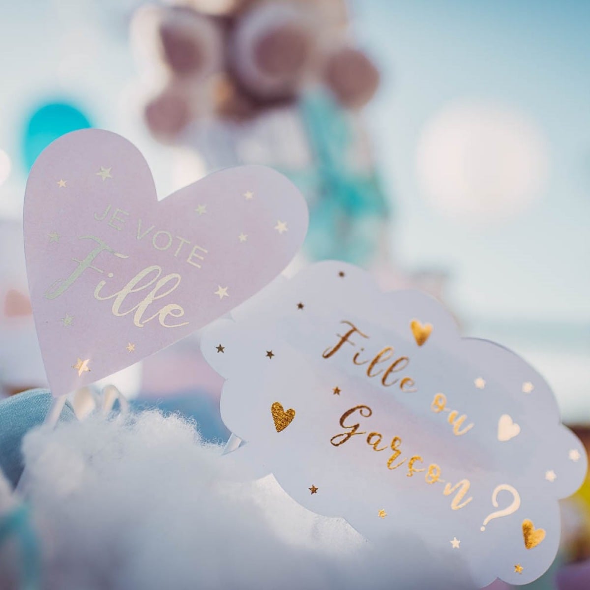 Kit Photo booth Baby Shower - Fille ou Garçon (12pcs)