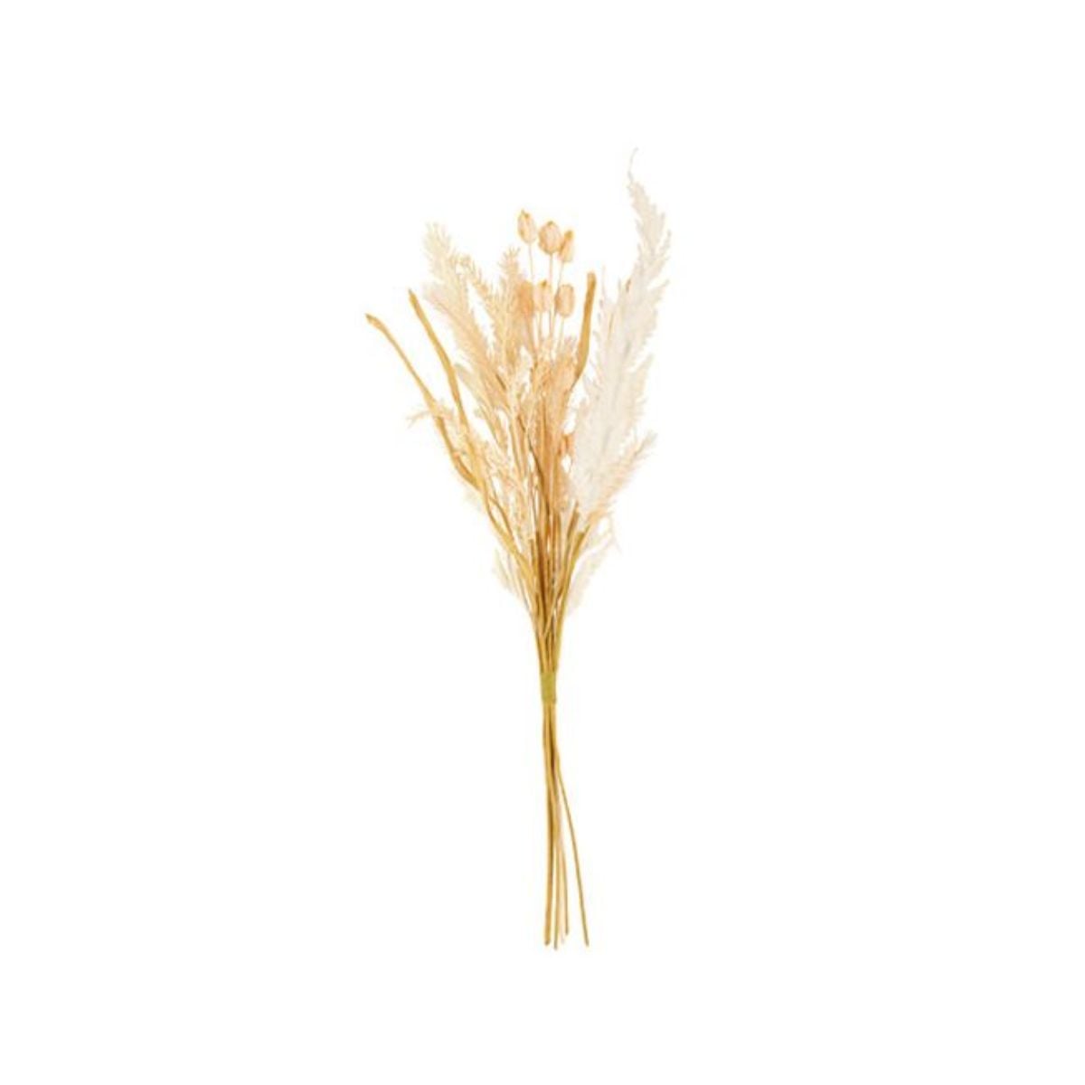 Bouquet Nomade Crème 55cm (1pce)