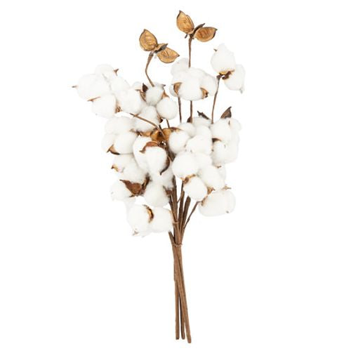 Bouquet de fleurs de coton (40cm)