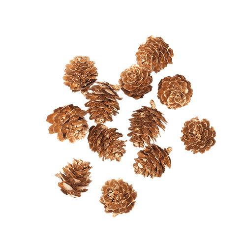 Pommes de Pin Or Ø2cm (12pcs)