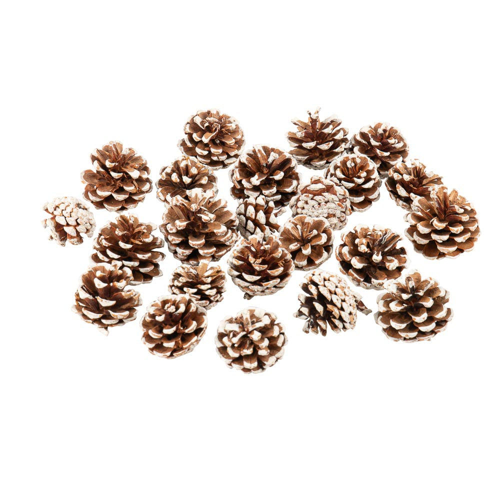 Pommes de pin naturelles enneigées (250g)