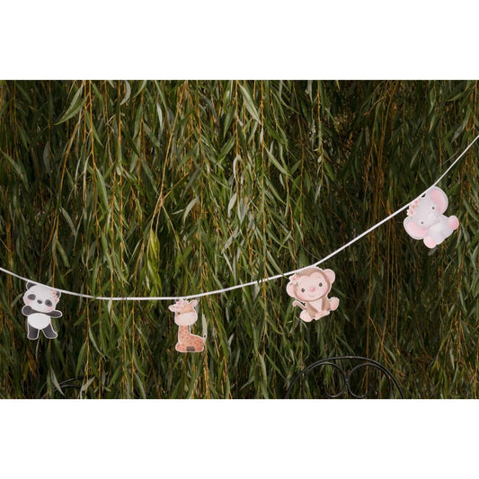 Guirlande Explorateur (5m)
