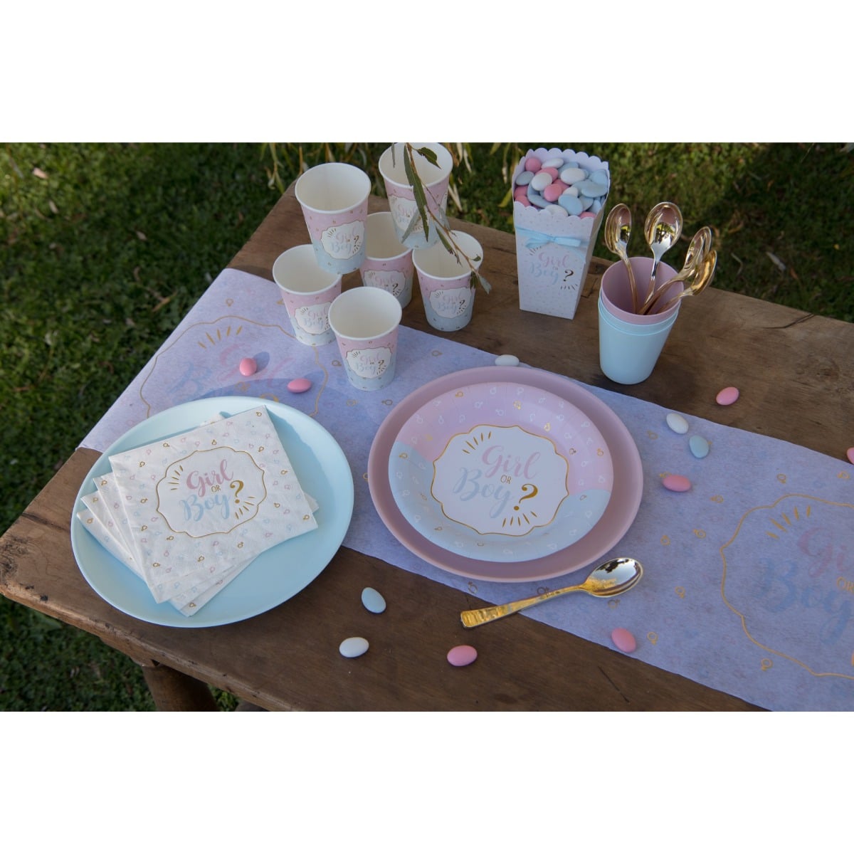 Assiettes Girl or Boy (10 pcs)