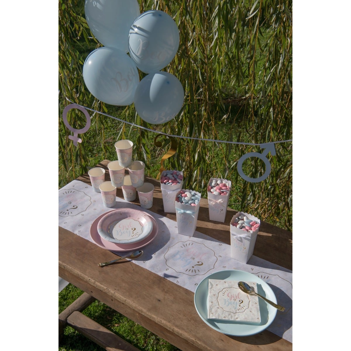 Assiettes Girl or Boy (10 pcs)