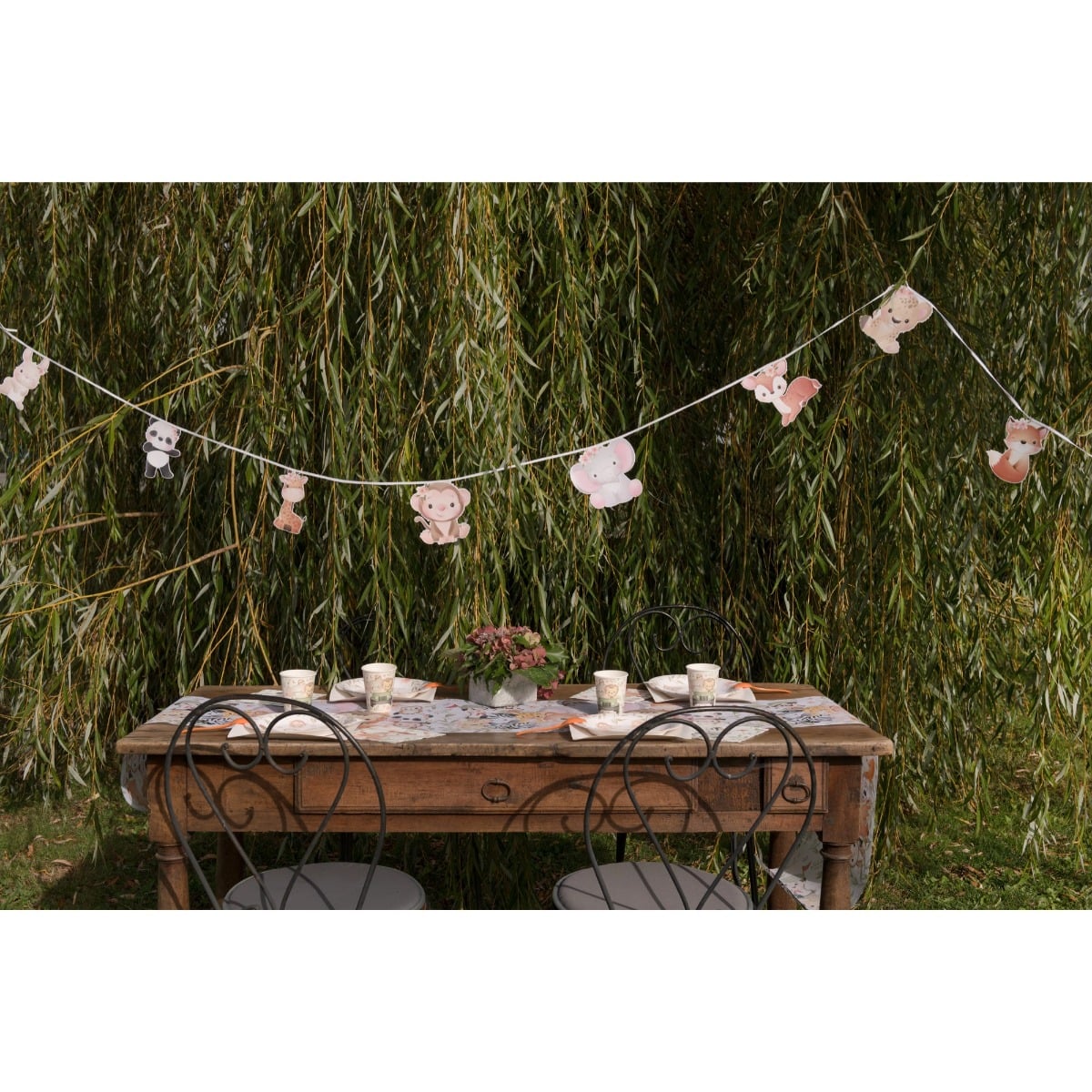 Guirlande Explorateur (5m)
