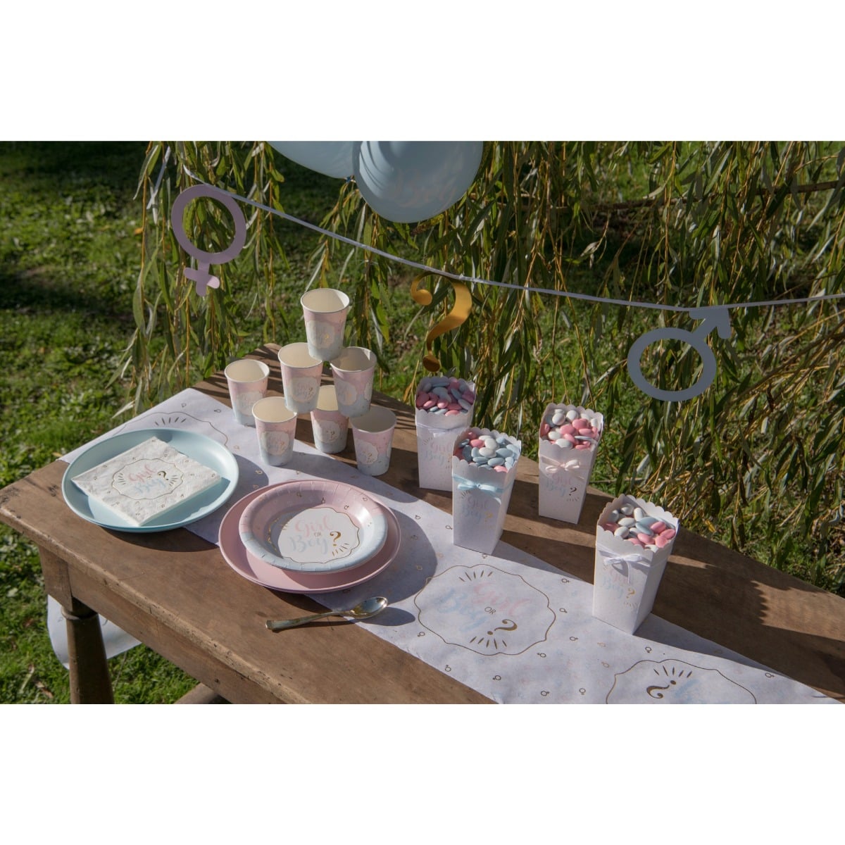 Assiettes Girl or Boy (10 pcs)