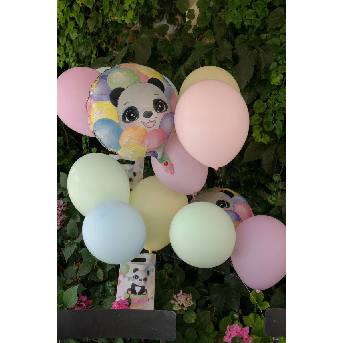 Ballons Pastel (10 pcs)