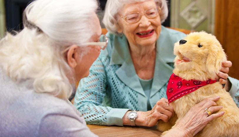 Peluche Chien Interactive pour personnes âgées - Brun et blanc