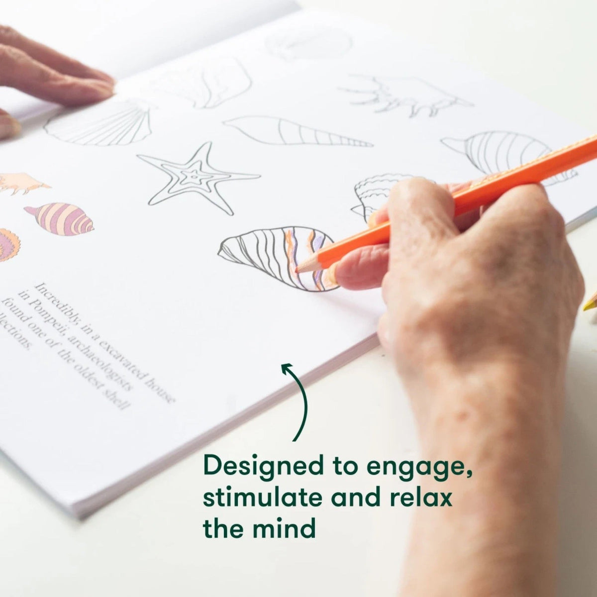 Coloring Book - Daily Joys