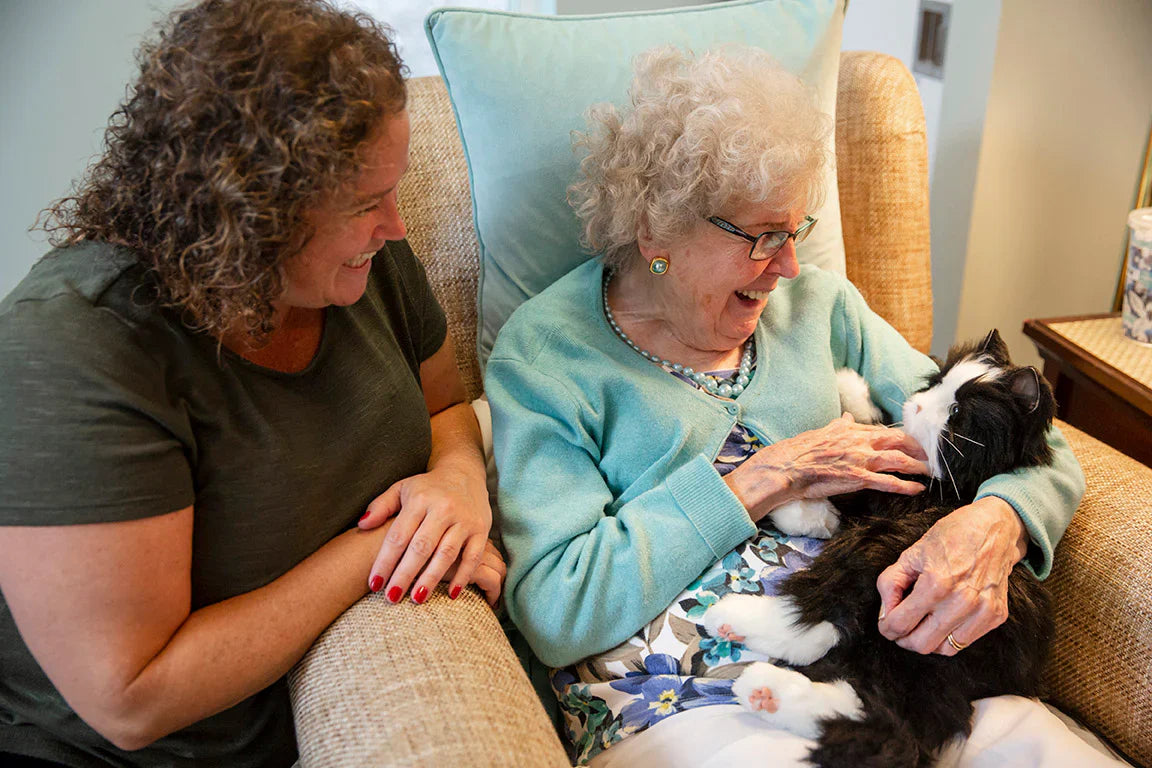 Interaktives Kuscheltier Katze für Senioren - Orange