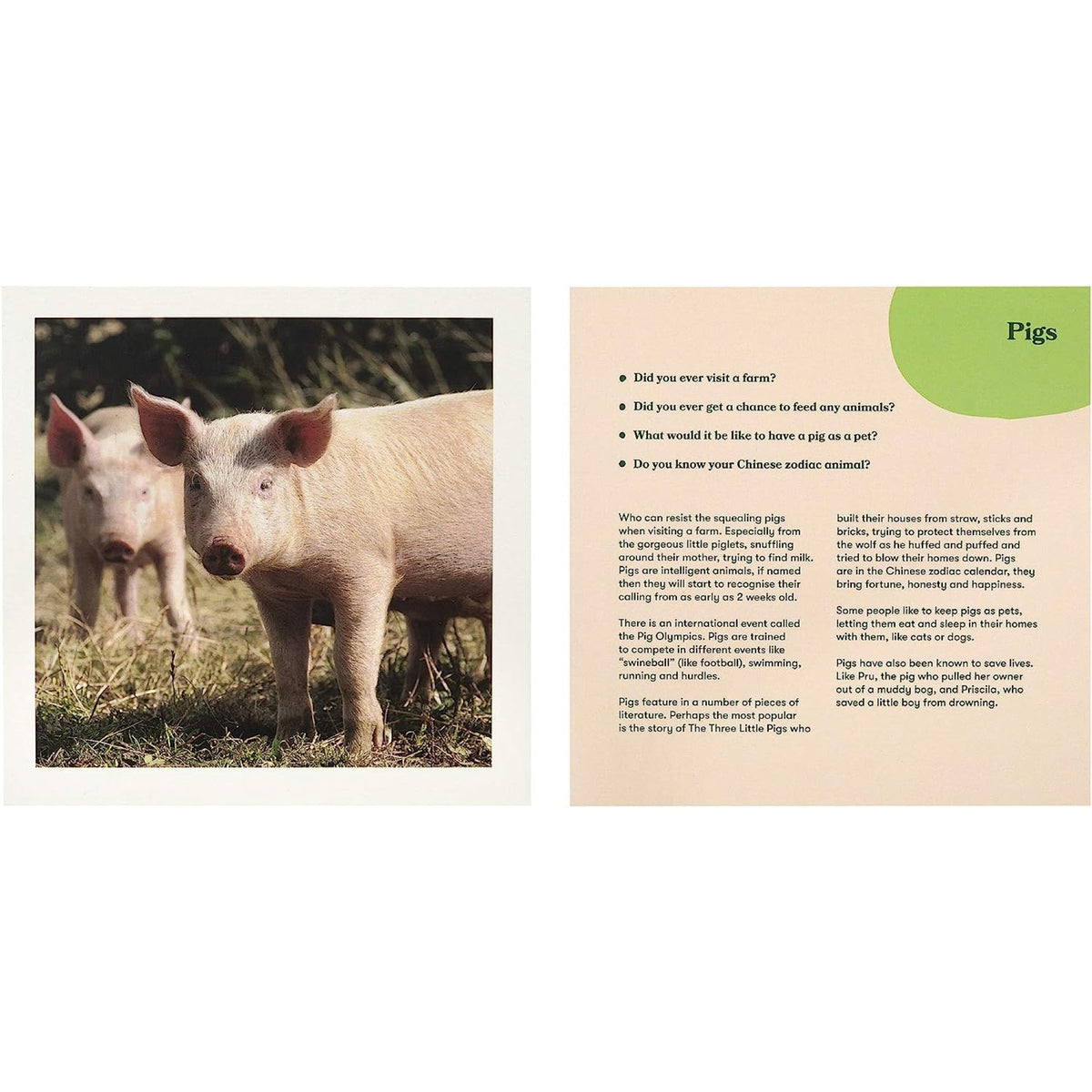 Memory cards - Animals (English)