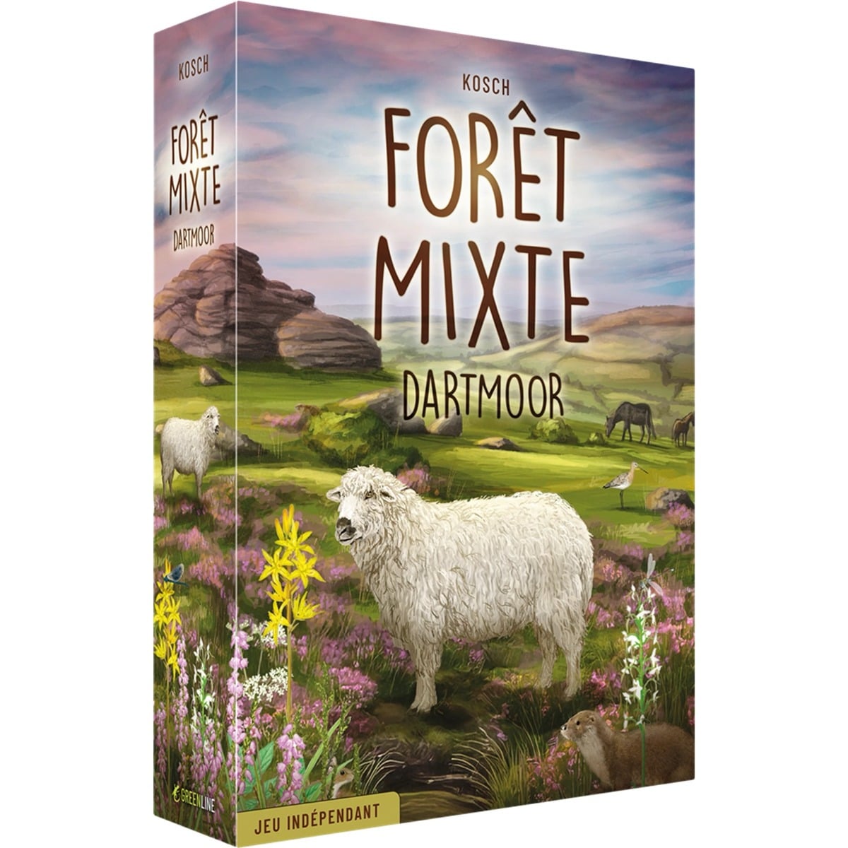 Fôret Mixte - Dartmoor (FR)