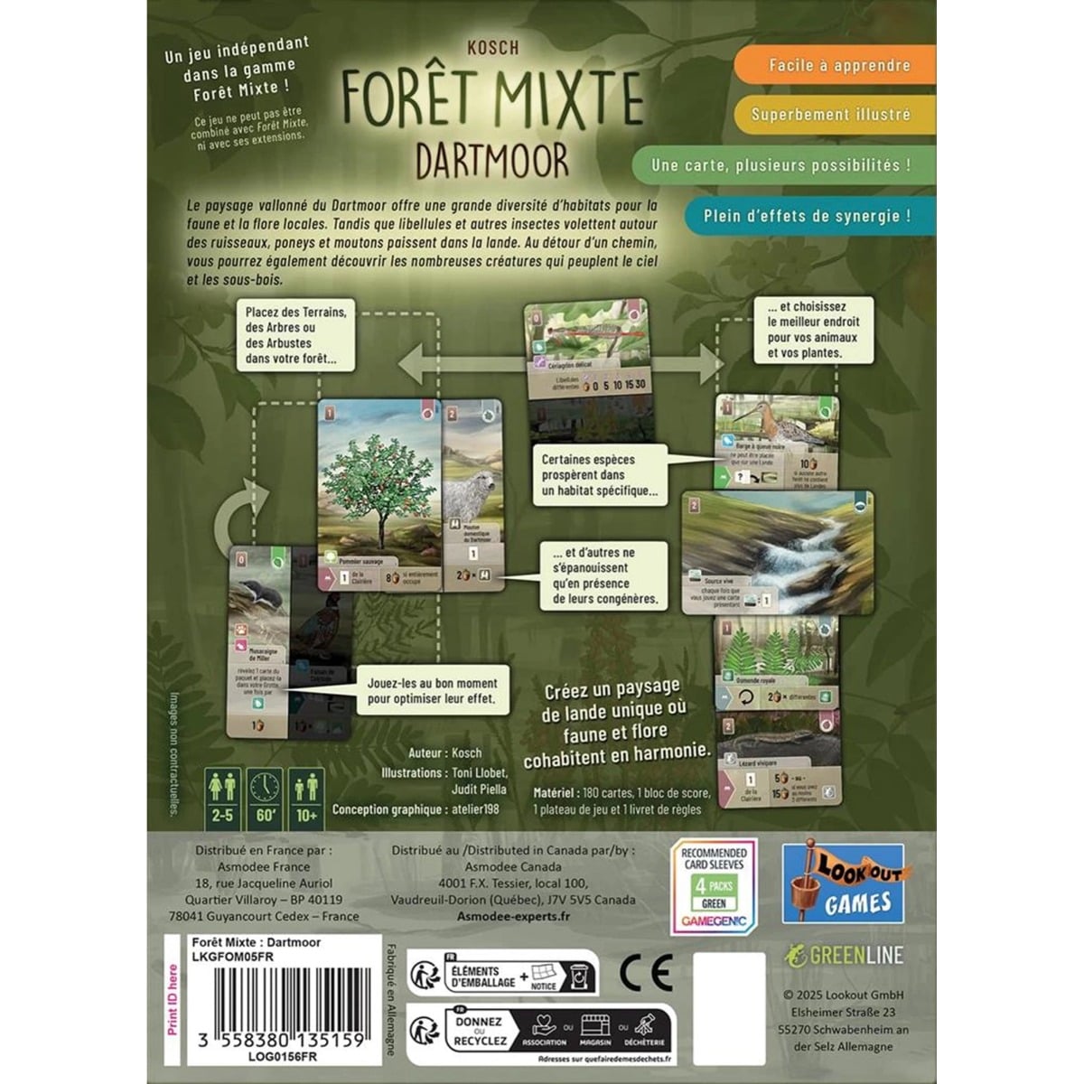 Fôret Mixte - Dartmoor (FR)