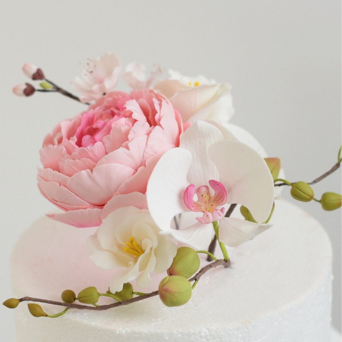 Gum Paste Blanc (250g)