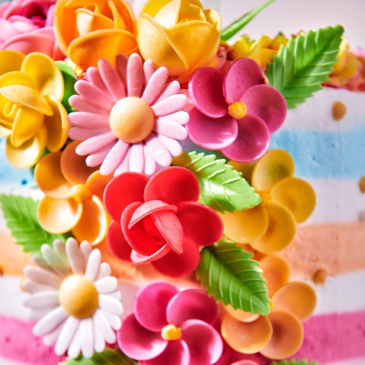 Feuilles vertes comestibles (50pcs)