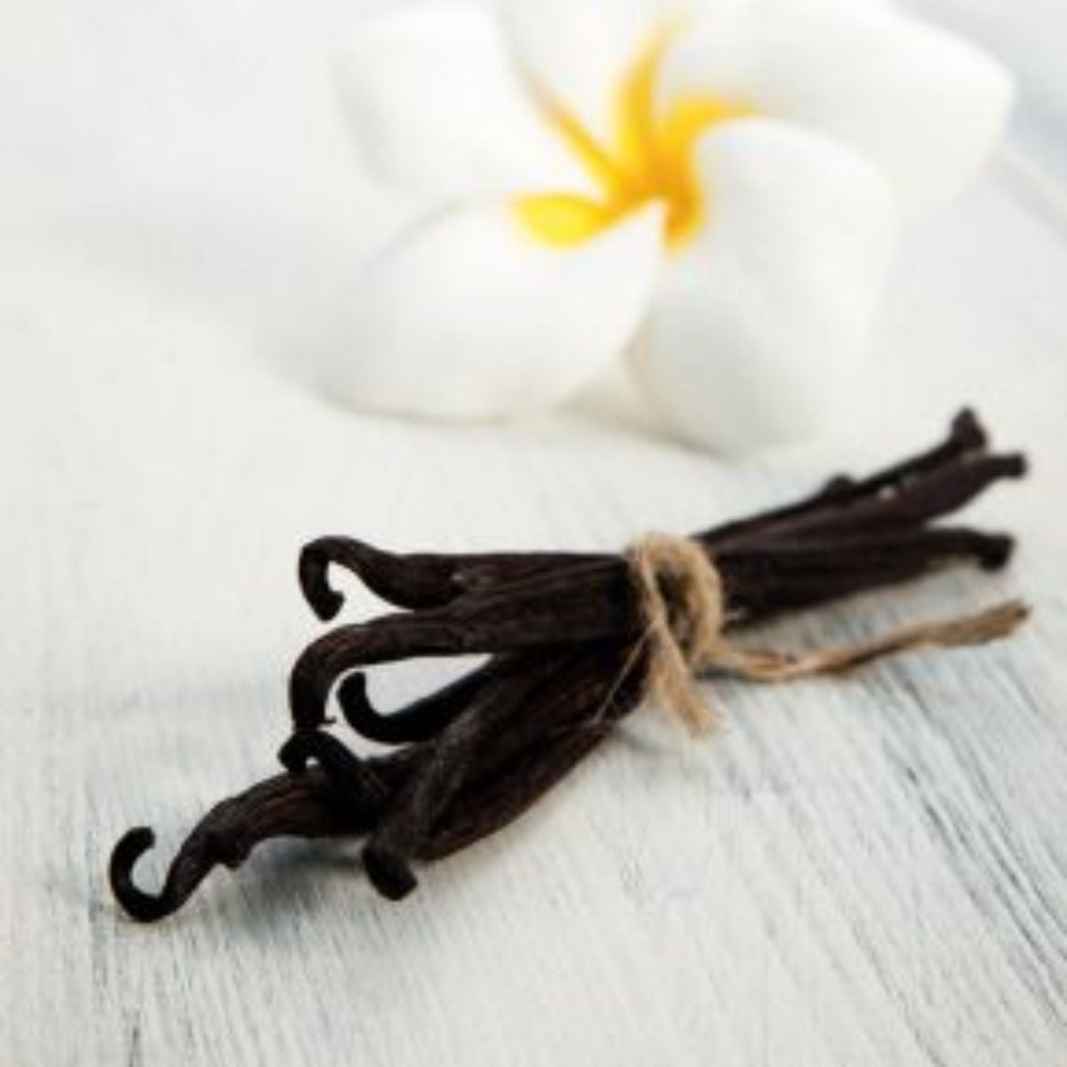 Pâte Aromatisante Vanille (100g)