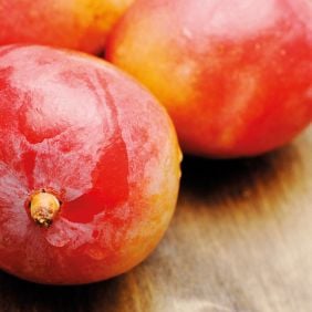 Pâte Aromatisante Mangue (120g)
