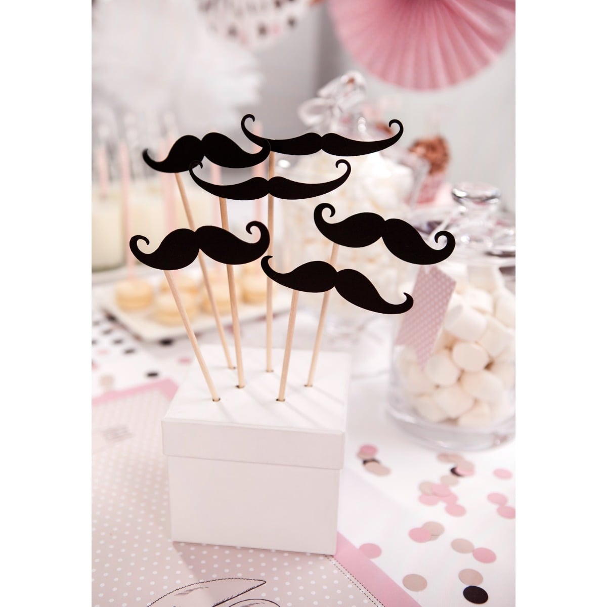 Accessoires Photobooth - Moustaches (6pcs)