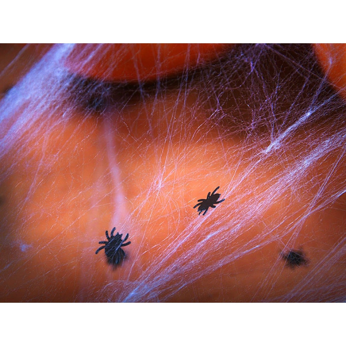 Confettis Araignées (15g)