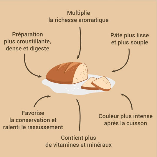 Levain de blé dur 150 g