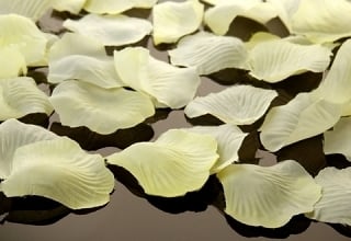 Pétales