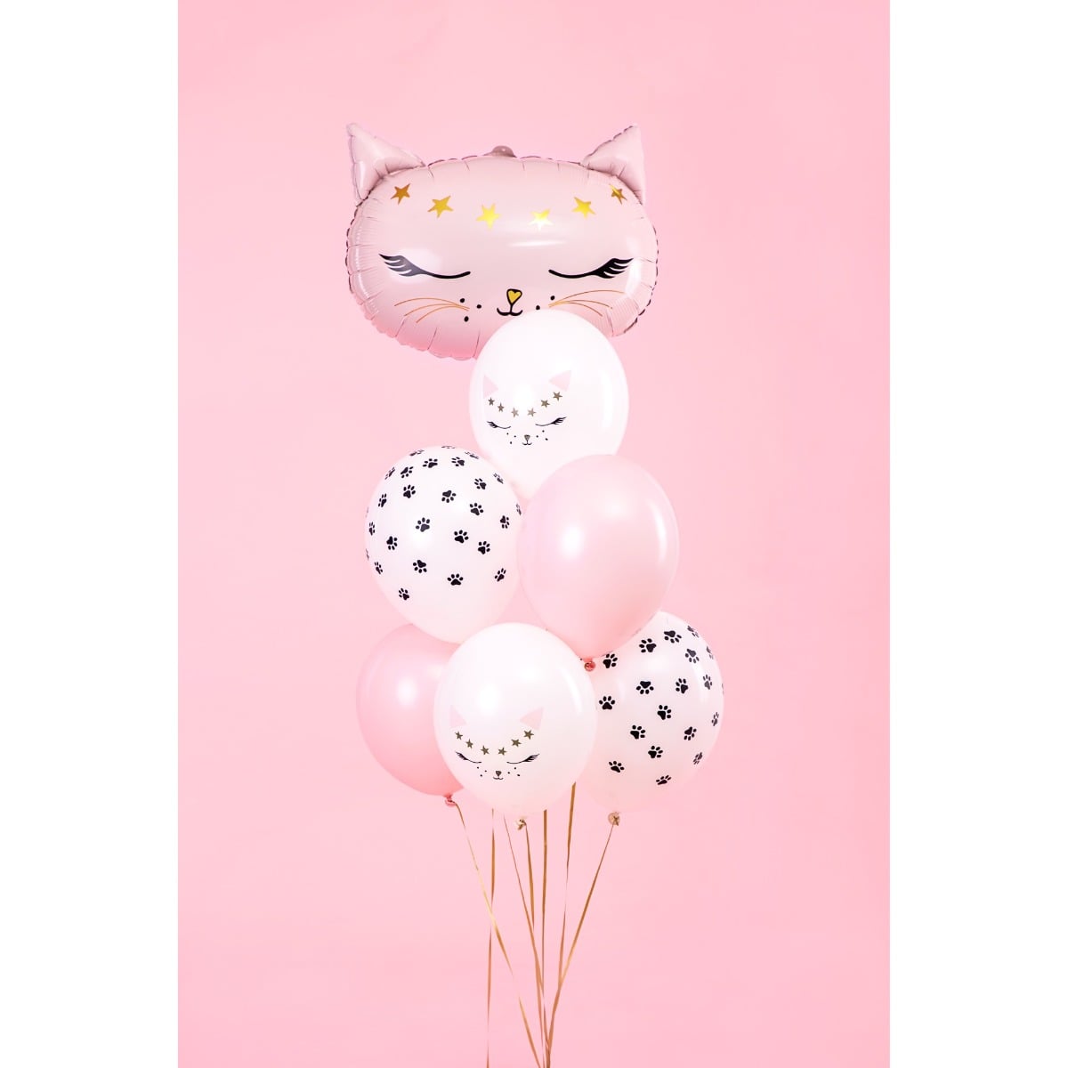 Ballons assortis - Chat (6pcs)