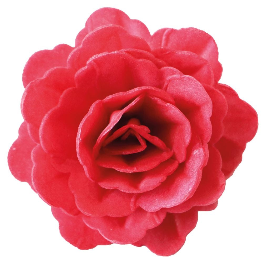 Roses Royales en azyme - Rouges