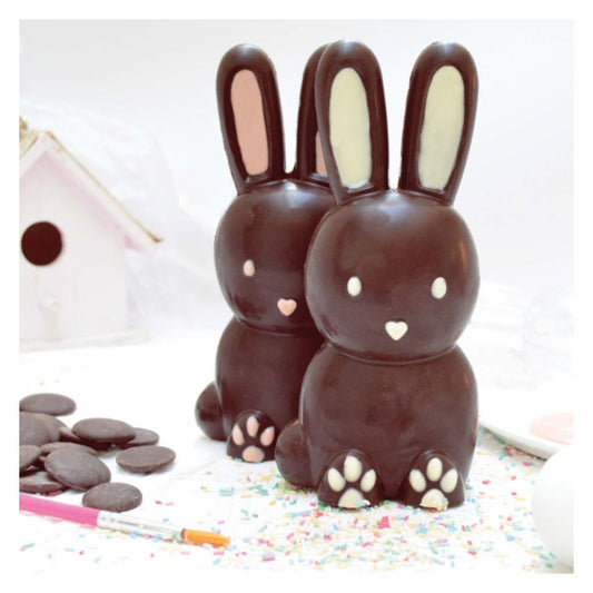 Moule Choco 3D Lapin