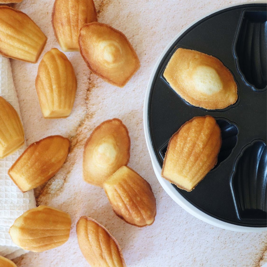 Préparation pour madeleines prête à l'emploi