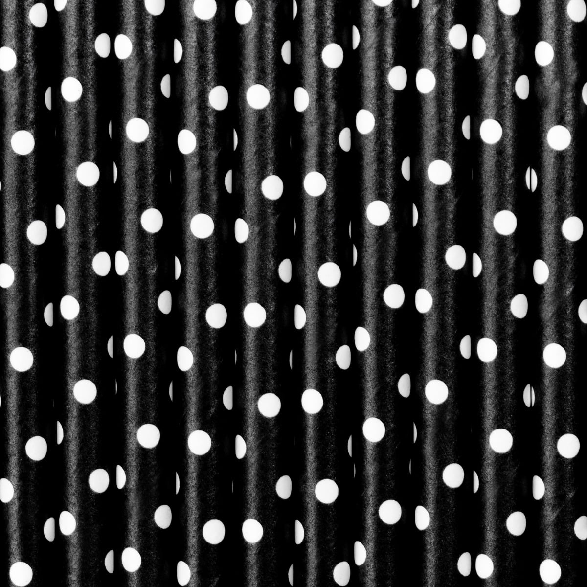 Pailles en papier noires à pois blanc (10pcs)