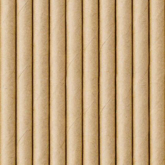 Pailles en papier Naturelles (10pcs)