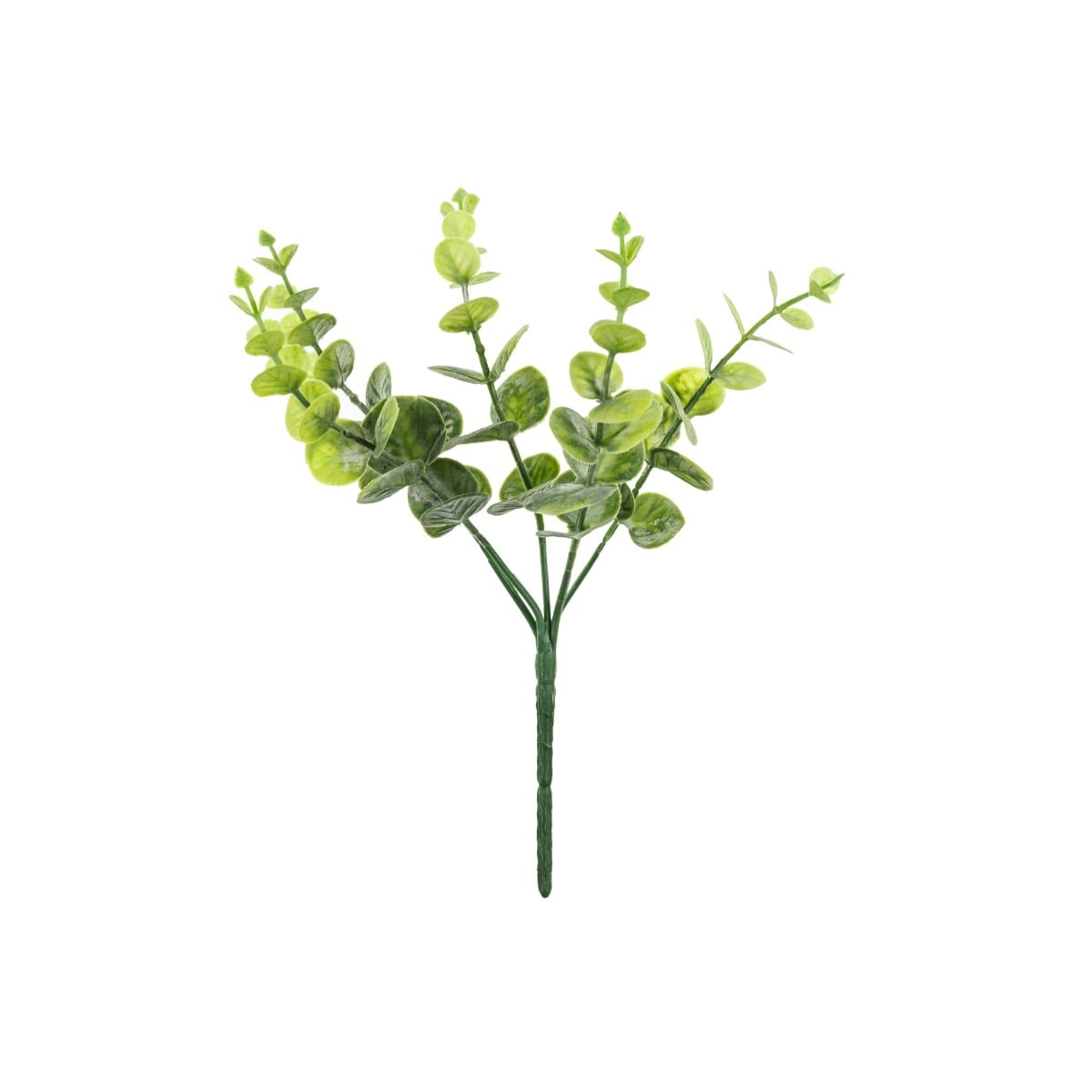 Bouquet de branches d'eucalyptus, 27 cm