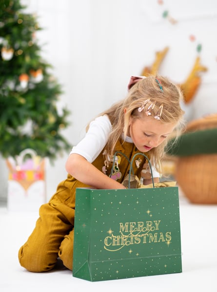 Sac cadeau - Merry Christmas - Vert