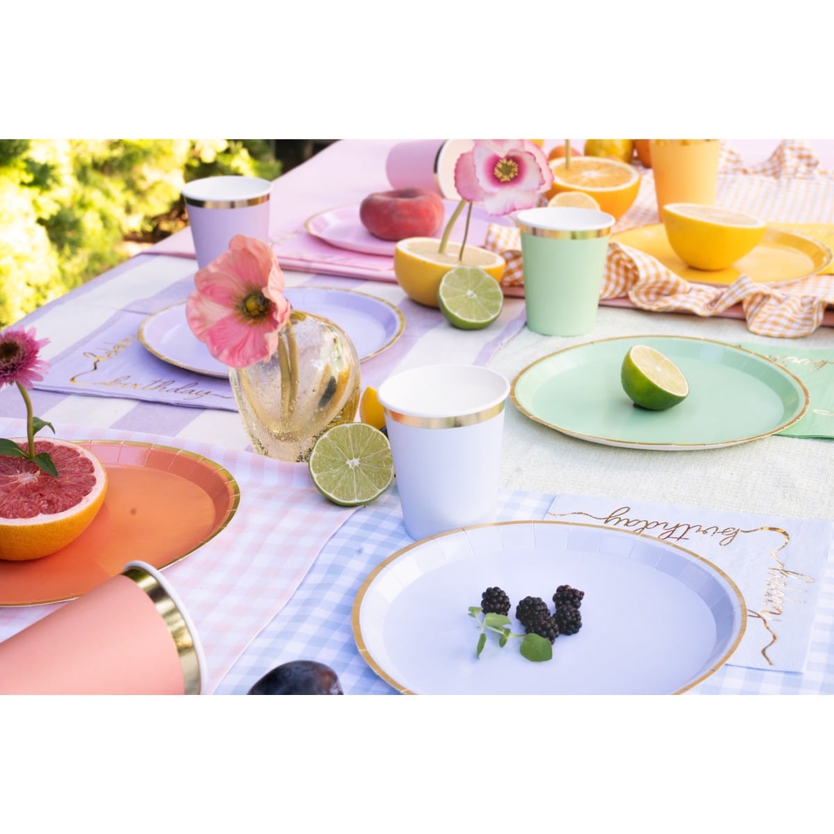Assiettes de couleur (6pcs)