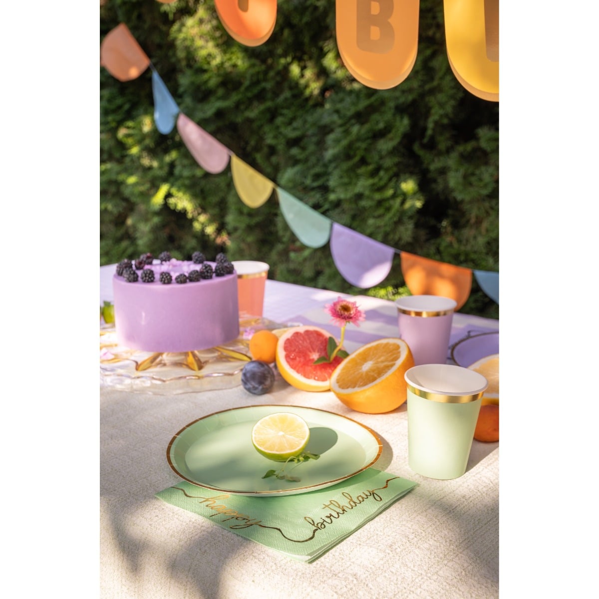 Assiettes de couleur (6pcs)